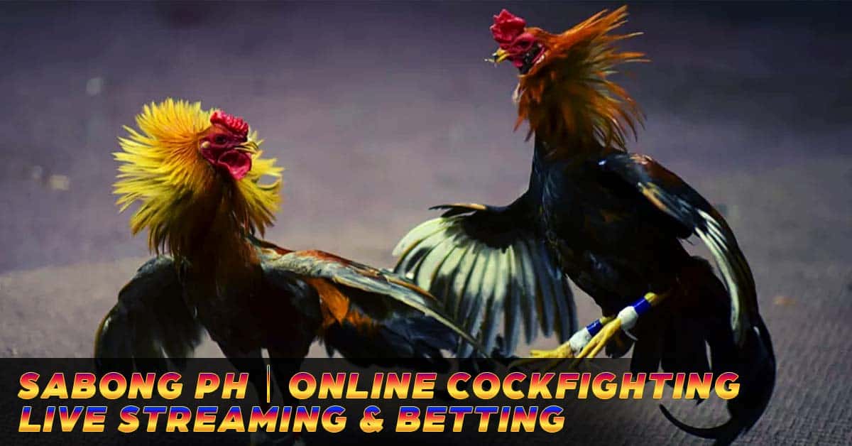 sabong ph: online cockfighting, live streaming & betting
