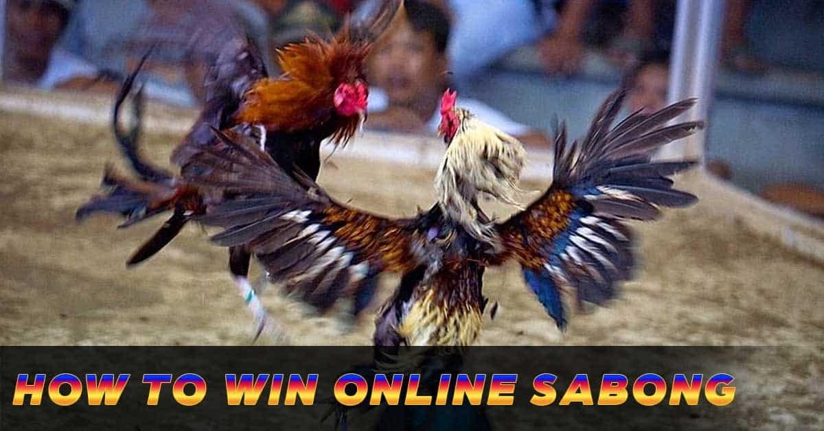 how to win online sabong