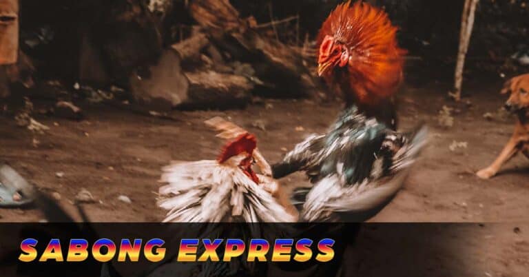 Sabong Express – Exciting Cockfighting Betting Platform