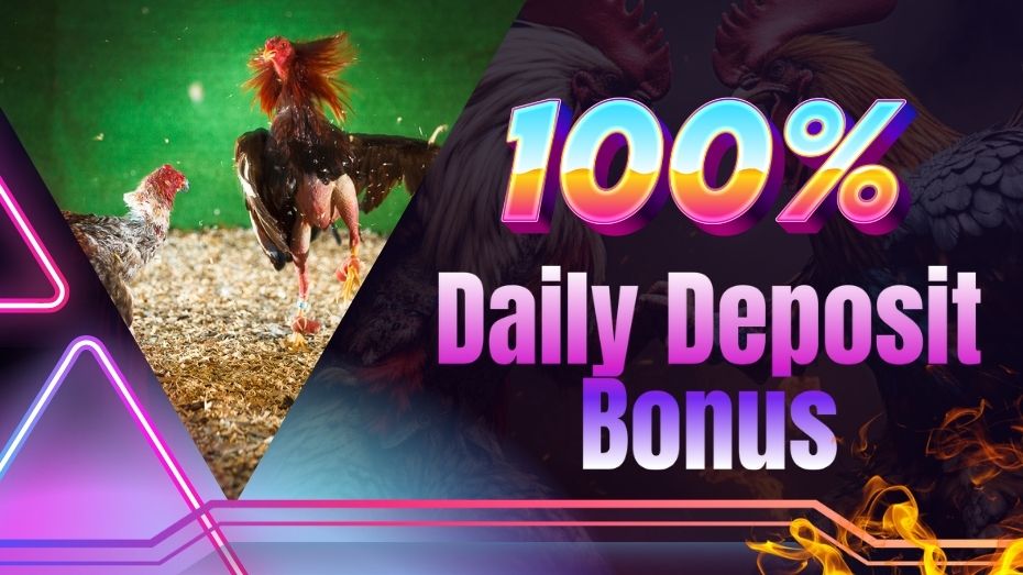 100% Daily Deposit bonus